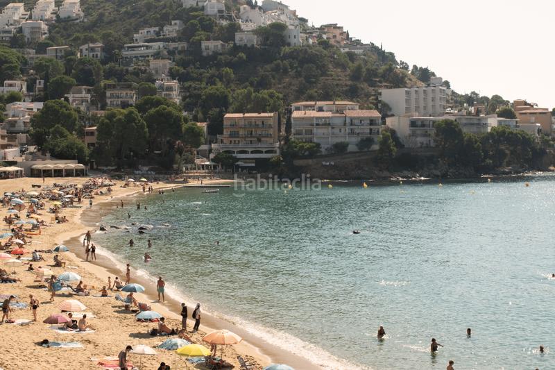 Foto 0d04f433-a4c4-4039-9518-1e25a6b7ec07. Apartament amb aparcament a Puig Rom-Canyelles-Almadrava Roses Foto 0d04f433-a4c4-4039-9518-1e25a6b7ec07. Apartament amb aparcament a Puig Rom-Canyelles-Almadrava Roses