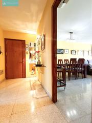 Apartament  Avenida de joan alcover. Venta piso 3 habitaciones en centro palma de mallorca Apartament  Avenida de joan alcover. Venta piso 3 habitaciones en centro palma de mallorca