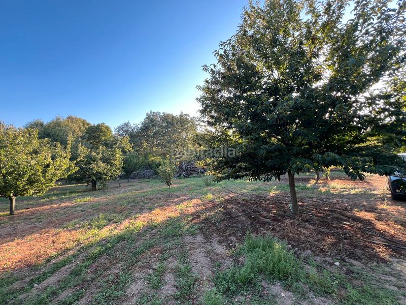 Foto 18f8cbc3-fe99-451c-9894-026d8731d6e4. Finca rústica a n/a a Garganta la Olla Foto 18f8cbc3-fe99-451c-9894-026d8731d6e4. Finca rústica a n/a a Garganta la Olla