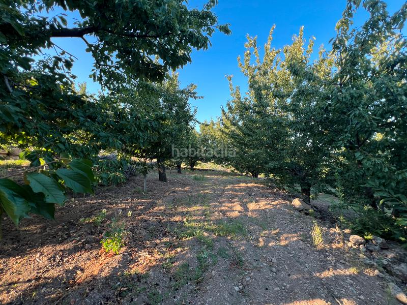Foto 54a8fe2d-627b-4487-ad7a-adf5723dd6f5. Finca rústica a n/a a Garganta la Olla Foto 54a8fe2d-627b-4487-ad7a-adf5723dd6f5. Finca rústica a n/a a Garganta la Olla