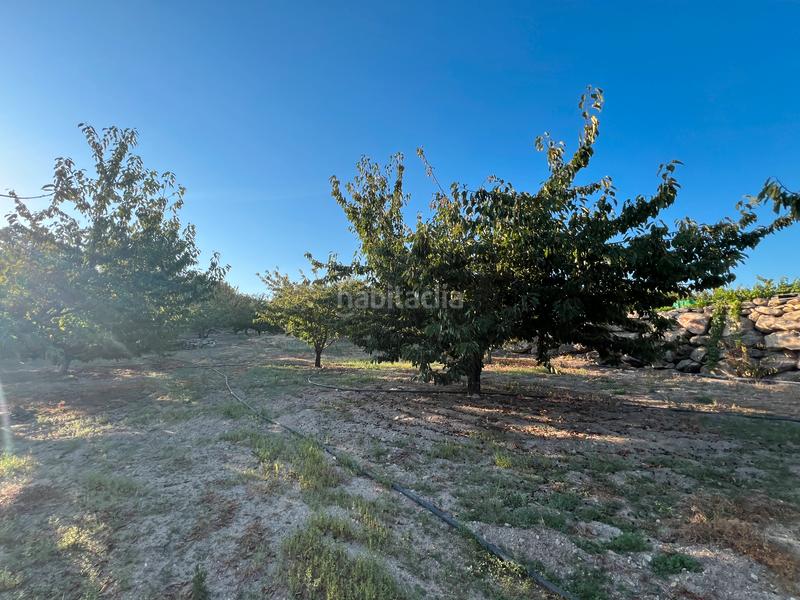 Foto 7e6ba2a9-dced-4f00-99ce-0b764ea54204. Finca rústica a n/a a Garganta la Olla Foto 7e6ba2a9-dced-4f00-99ce-0b764ea54204. Finca rústica a n/a a Garganta la Olla