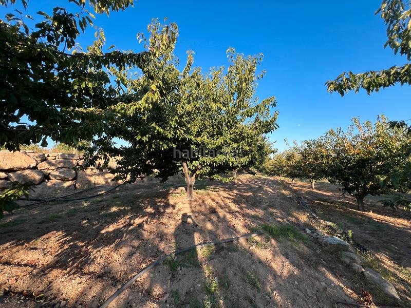 Foto a8a8c1f8-8257-4994-9034-b75bc2efddea. Finca rústica a n/a a Garganta la Olla Foto a8a8c1f8-8257-4994-9034-b75bc2efddea. Finca rústica a n/a a Garganta la Olla