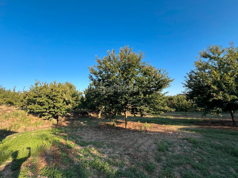Foto b1dd084f-bc9e-4da7-b054-639d6cf28a50. Finca rústica a n/a a Garganta la Olla Foto b1dd084f-bc9e-4da7-b054-639d6cf28a50. Finca rústica a n/a a Garganta la Olla