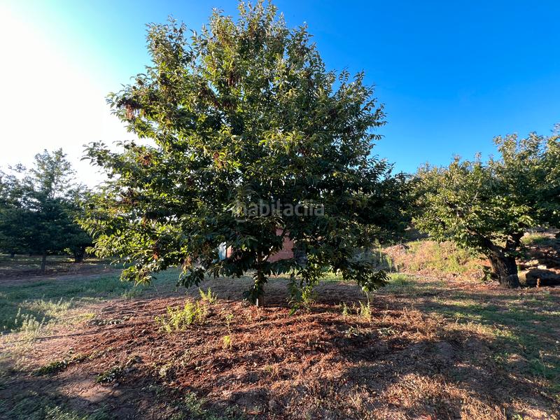 Foto b876f83a-19c4-4699-be77-13f53e753c94. Finca rústica a n/a a Garganta la Olla Foto b876f83a-19c4-4699-be77-13f53e753c94. Finca rústica a n/a a Garganta la Olla