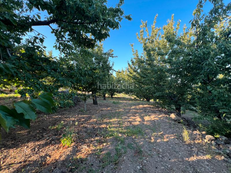 Foto d16f7565-95b6-4dfe-9a8f-ec07ced2f4b0. Finca rústica a n/a a Garganta la Olla Foto d16f7565-95b6-4dfe-9a8f-ec07ced2f4b0. Finca rústica a n/a a Garganta la Olla