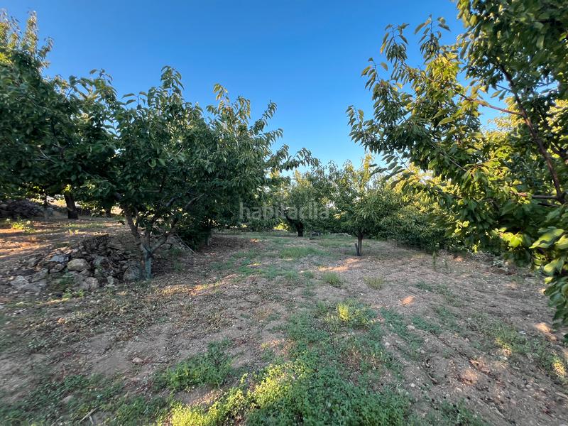 Foto d799b603-5802-408b-955f-956df833ce11. Finca rústica a n/a a Garganta la Olla Foto d799b603-5802-408b-955f-956df833ce11. Finca rústica a n/a a Garganta la Olla