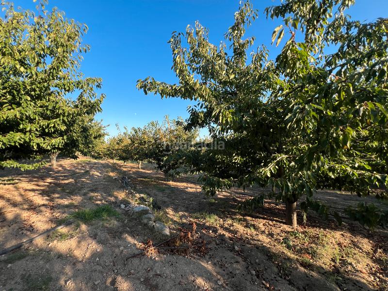 Foto f9bd0a8b-ab9c-42ba-bcf5-6ab7f475b4e7. Finca rústica a n/a a Garganta la Olla Foto f9bd0a8b-ab9c-42ba-bcf5-6ab7f475b4e7. Finca rústica a n/a a Garganta la Olla