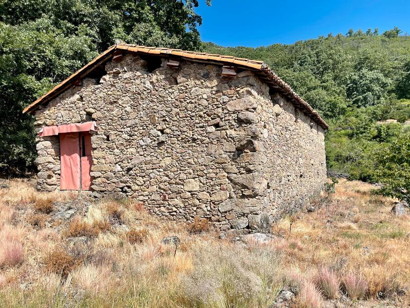 Foto 68469c48-3856-4179-8d62-2c6a0d49f5fb. Propriété dans Garganta la Olla Foto 68469c48-3856-4179-8d62-2c6a0d49f5fb. Propriété dans Garganta la Olla