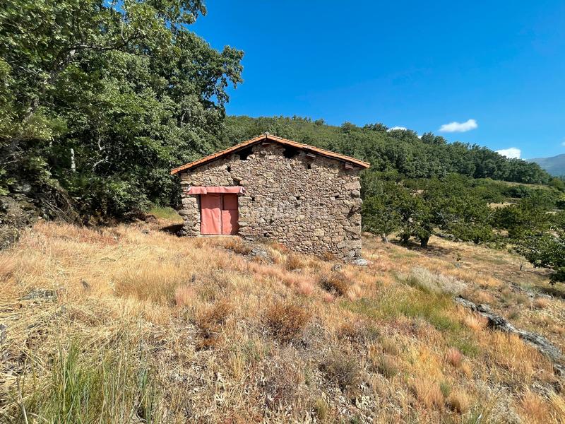 Foto aca63841-5ce5-47bd-af17-47e927a4693d. Propriété dans Garganta la Olla Foto aca63841-5ce5-47bd-af17-47e927a4693d. Propriété dans Garganta la Olla