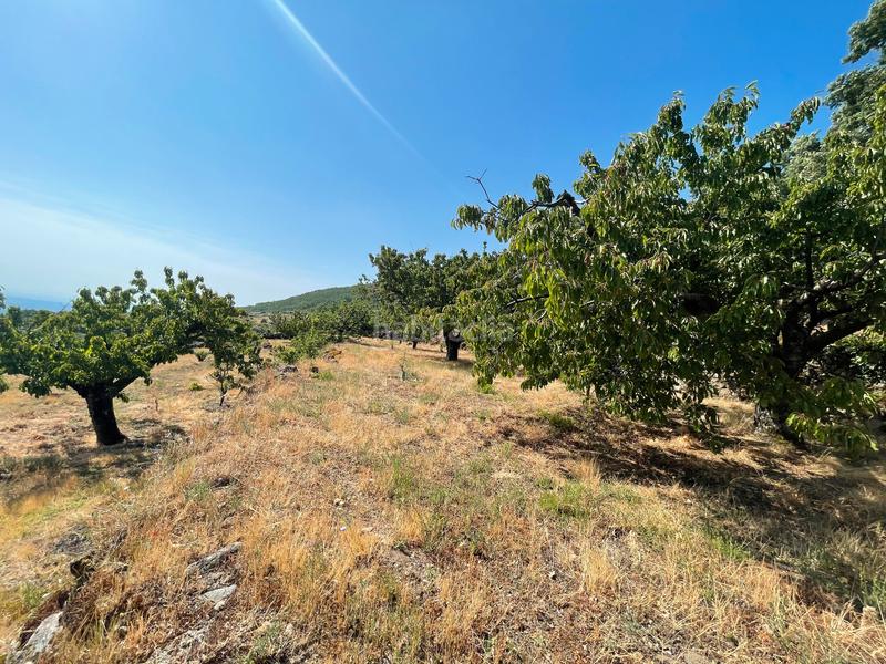Foto c2f86b70-72f5-4230-9da5-6cb9f51be318. Propriété dans Garganta la Olla Foto c2f86b70-72f5-4230-9da5-6cb9f51be318. Propriété dans Garganta la Olla