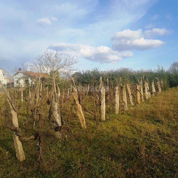 Foto b588d6d0-5c63-440f-bc31-95315b5da3ae. Residential plot in San Cibrao das Viñas Foto b588d6d0-5c63-440f-bc31-95315b5da3ae. Residential plot in San Cibrao das Viñas