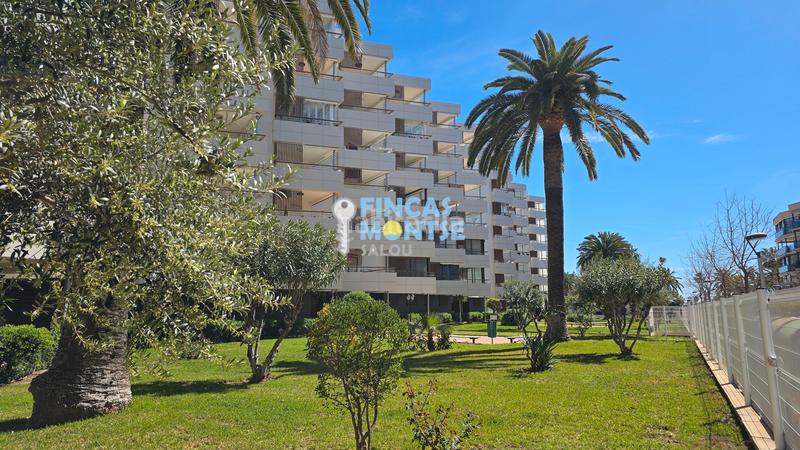 Foto c7920b9f-b59f-4061-a4af-5901b74009de. Apartament amb aparcament a Platja de Llevant Salou Foto c7920b9f-b59f-4061-a4af-5901b74009de. Apartament amb aparcament a Platja de Llevant Salou