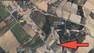 Finca rústica a Secuita (La). Terreno rustico en venta Finca rústica a Secuita (La). Terreno rustico en venta