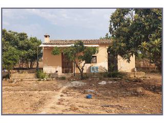 Masia a Vella de llubí 1. Finca rústica en venta en inca Masia a Vella de llubí 1. Finca rústica en venta en inca