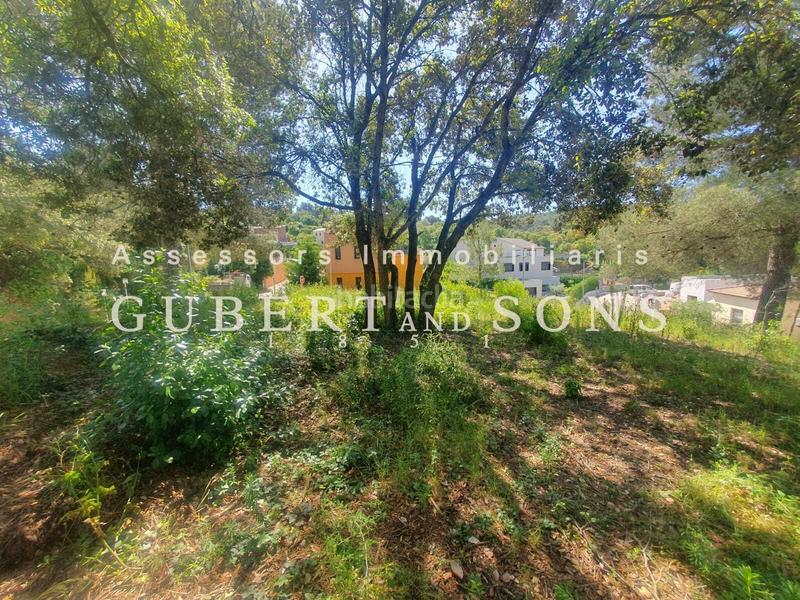 Foto 32ab52c7-0d04-48a7-bf02-61b0fc1bf35e. Terreno residenziale in pere calders 29 in residencial Begur-esclanyà Begur Foto 32ab52c7-0d04-48a7-bf02-61b0fc1bf35e. Terreno residenziale in pere calders 29 in residencial Begur-esclanyà Begur