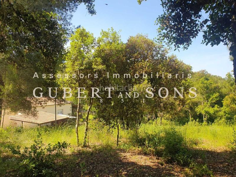 Foto 6b601b12-d1a9-4122-ba5f-dedf6be29d87. Terreno residenziale in pere calders 29 in residencial Begur-esclanyà Begur Foto 6b601b12-d1a9-4122-ba5f-dedf6be29d87. Terreno residenziale in pere calders 29 in residencial Begur-esclanyà Begur