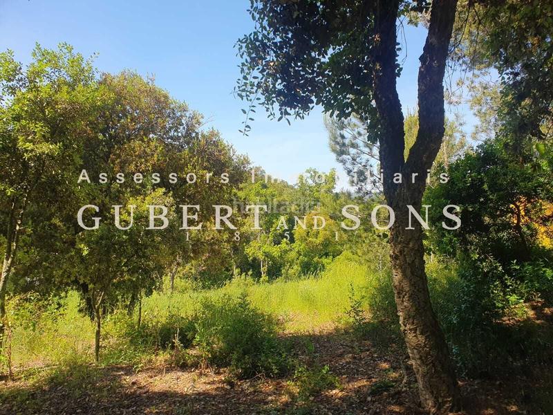 Foto 7bcce867-610f-4ae2-ab2a-f2e1cc71fd53. Terreno residenziale in pere calders 29 in residencial Begur-esclanyà Begur Foto 7bcce867-610f-4ae2-ab2a-f2e1cc71fd53. Terreno residenziale in pere calders 29 in residencial Begur-esclanyà Begur