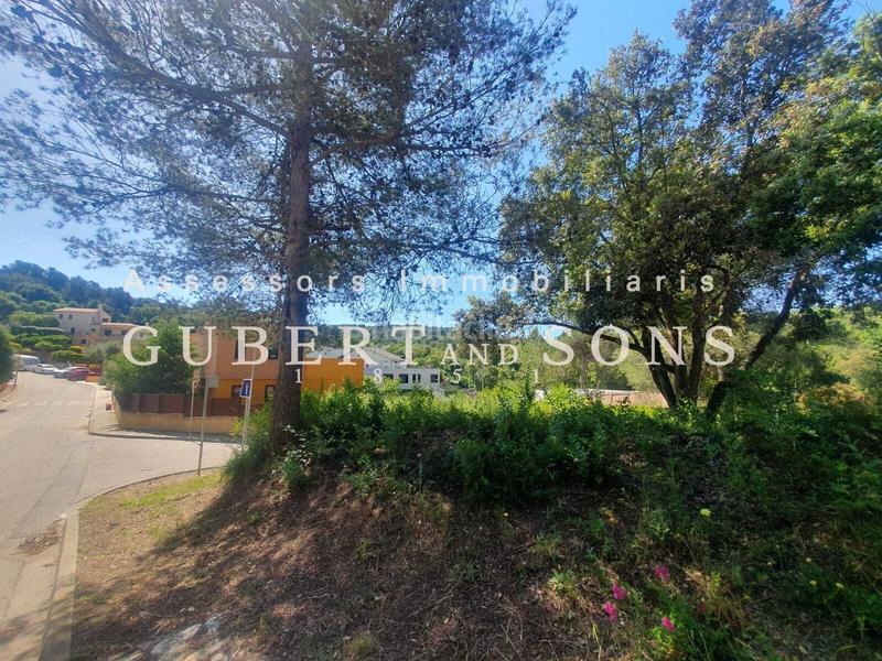 Foto e8e16e4f-61cf-40bc-ade9-a159fe0912ea. Terreno residenziale in pere calders 29 in residencial Begur-esclanyà Begur Foto e8e16e4f-61cf-40bc-ade9-a159fe0912ea. Terreno residenziale in pere calders 29 in residencial Begur-esclanyà Begur