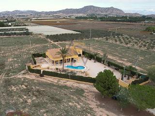 Xalet N/a. Esplendido chalet con piscina en aspe Xalet N/a. Esplendido chalet con piscina en aspe