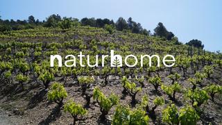 Finca rústica a T-710 79. Finca con viñedos doq priorato en gratallops. Finca rústica a T-710 79. Finca con viñedos doq priorato en gratallops.