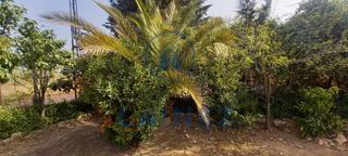 Terrain résidentiel à Belmez. Excelente parcela con casa situada en el municipio de belmez pro Terrain résidentiel à Belmez. Excelente parcela con casa situada en el municipio de belmez pro
