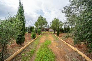 Propriété  Camino so n´amora nou. Terreno rústico en algaida Propriété  Camino so n´amora nou. Terreno rústico en algaida