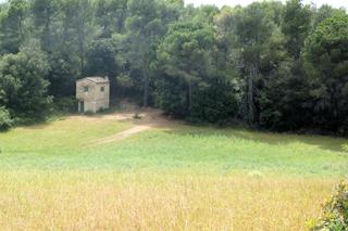 Fondo rustico  Girona-palamós. Terreno agrario con barraca en st. climent de peralta Fondo rustico  Girona-palamós. Terreno agrario con barraca en st. climent de peralta
