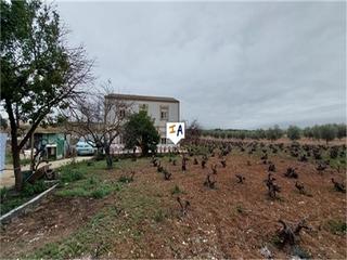 Masia a Monturque Masia a Monturque