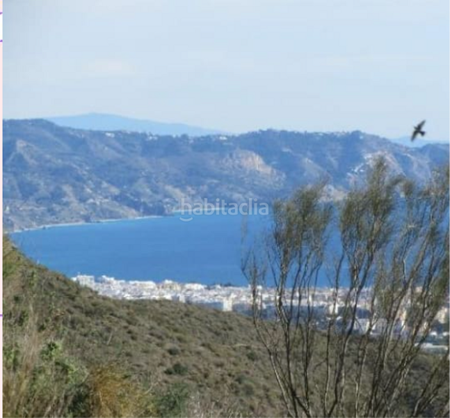 Foto 5db5538d-1698-4b8b-a43a-5607ad332f1f. Terreny residencial a n/a a El Peñoncillo Torrox Foto 5db5538d-1698-4b8b-a43a-5607ad332f1f. Terreny residencial a n/a a El Peñoncillo Torrox