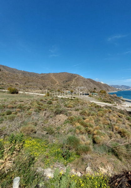 Foto 9ed4c1c7-d0ae-48ae-a53d-0037255f1d87. Terreny residencial a n/a a El Peñoncillo Torrox Foto 9ed4c1c7-d0ae-48ae-a53d-0037255f1d87. Terreny residencial a n/a a El Peñoncillo Torrox