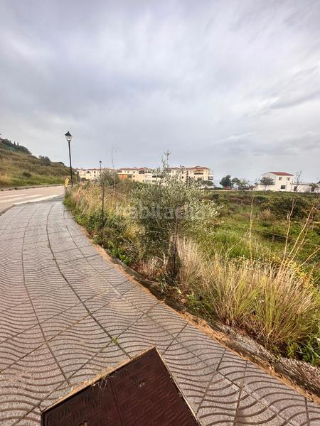Foto d5825359-2d60-4902-86e3-55f9e4567951. Terreny residencial a El Peñoncillo Torrox Foto d5825359-2d60-4902-86e3-55f9e4567951. Terreny residencial a El Peñoncillo Torrox