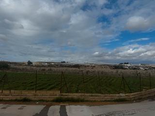 Pis  Diseminado barranquete Pis  Diseminado barranquete