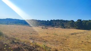 Rent Rural plot in Partida penyetes 37 Rent Rural plot in Partida penyetes 37