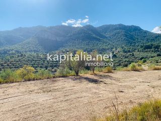 Terreno residencial en Alfafara. Parcela a la venta en alfafara. Terreno residencial en Alfafara. Parcela a la venta en alfafara.
