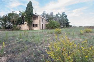 Location Mas à Sineu. Magnifica finca en alquiler en sineu Location Mas à Sineu. Magnifica finca en alquiler en sineu