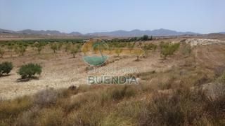 Finca rústica en Mazarrón Casco Urbano. Terreno rustico a poca distancia de mazarrón. Finca rústica en Mazarrón Casco Urbano. Terreno rustico a poca distancia de mazarrón.