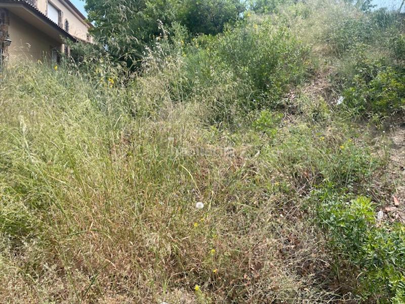 Foto 4b14dc4e-52ff-4749-8375-3d58e9c1fee8. Terreno residenziale in Viladecavalls Foto 4b14dc4e-52ff-4749-8375-3d58e9c1fee8. Terreno residenziale in Viladecavalls