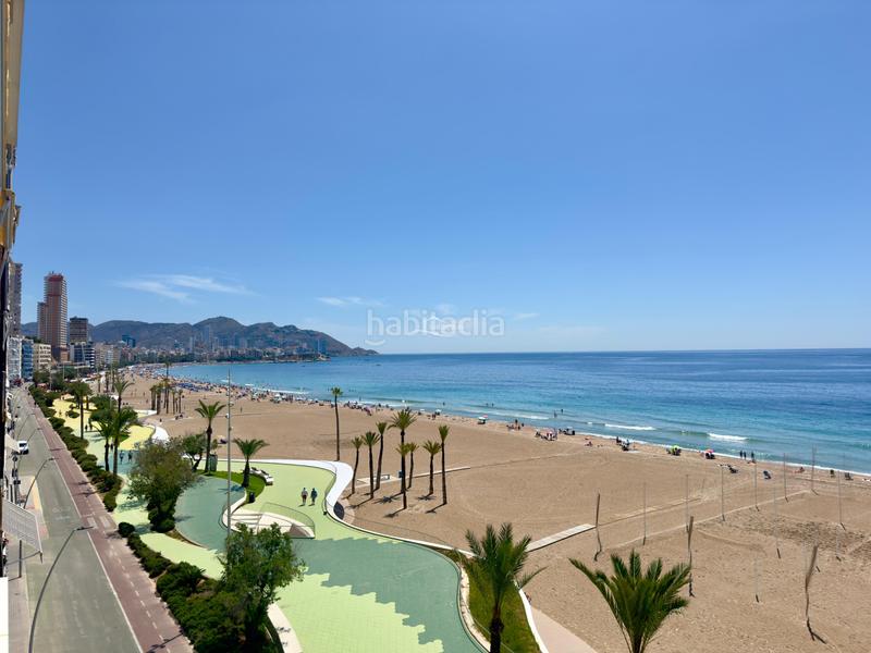 Foto bcd85055-1459-4f2d-a6f6-51232b126b7e. Rent flat in Playa Poniente Benidorm Foto bcd85055-1459-4f2d-a6f6-51232b126b7e. Rent flat in Playa Poniente Benidorm