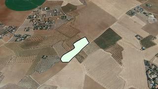 Finca rústica Pt los rubiales. polígono 36, parcela 8.. Solvia inmobiliaria suelo rústico pozuelo de calatrava Finca rústica Pt los rubiales. polígono 36, parcela 8.. Solvia inmobiliaria suelo rústico pozuelo de calatrava