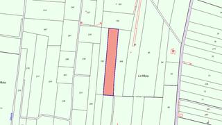 Fondo rustico  Pt la mola. Solvia inmobiliaria  suelo rústico albalat de la ribera Fondo rustico  Pt la mola. Solvia inmobiliaria  suelo rústico albalat de la ribera