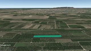 Rural plot  Pt la mola. Solvia inmobiliaria  suelo rústico albalat de la ribera Rural plot  Pt la mola. Solvia inmobiliaria  suelo rústico albalat de la ribera