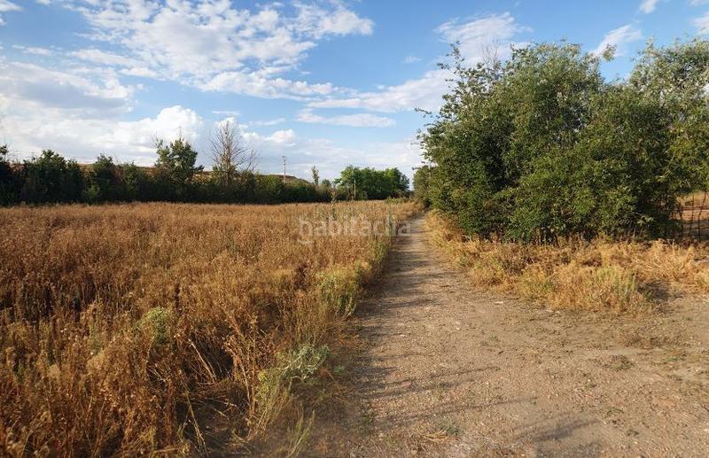 Foto 17d93a65-92e2-4c79-95da-18b8abf417da. Fondo rustico in Sector 8 - Nueva Balastera Palencia Foto 17d93a65-92e2-4c79-95da-18b8abf417da. Fondo rustico in Sector 8 - Nueva Balastera Palencia