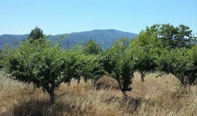 Foto 166012a2-732c-48e4-84ec-03ec7fc5c7e5. Fondo rustico in Orxa (l´) Foto 166012a2-732c-48e4-84ec-03ec7fc5c7e5. Fondo rustico in Orxa (l´)