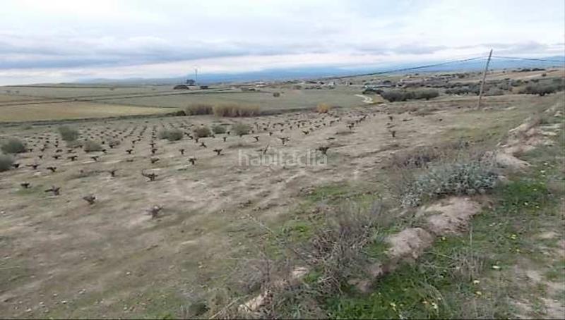 Foto 9b7ddcbd-8a0a-4bb3-b57c-09178ee42b84. Finca rústica a El Pijorro Navalcarnero Foto 9b7ddcbd-8a0a-4bb3-b57c-09178ee42b84. Finca rústica a El Pijorro Navalcarnero