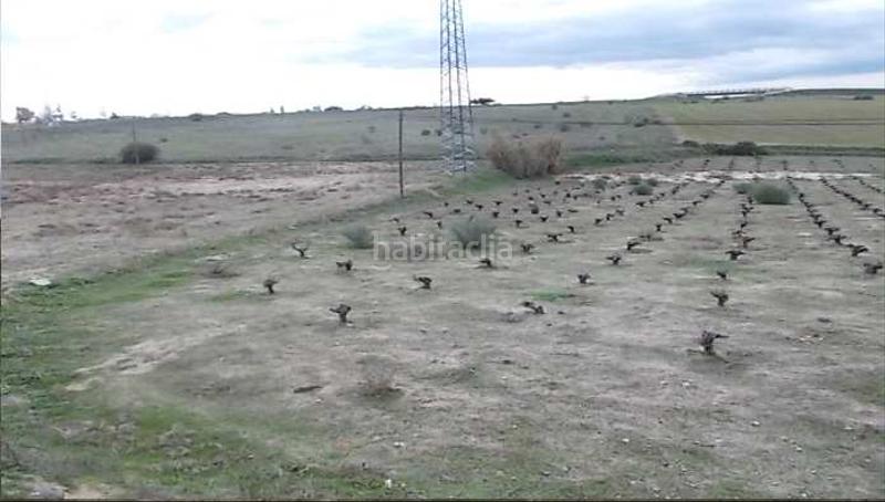 Foto d617e6e7-1e9e-4796-9e14-bd8f33646d2d. Finca rústica a El Pijorro Navalcarnero Foto d617e6e7-1e9e-4796-9e14-bd8f33646d2d. Finca rústica a El Pijorro Navalcarnero