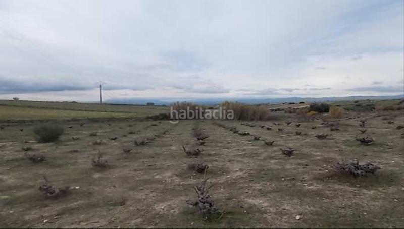 Foto da8db89b-97e5-4019-8207-9ebe495b3f22. Finca rústica a El Pijorro Navalcarnero Foto da8db89b-97e5-4019-8207-9ebe495b3f22. Finca rústica a El Pijorro Navalcarnero
