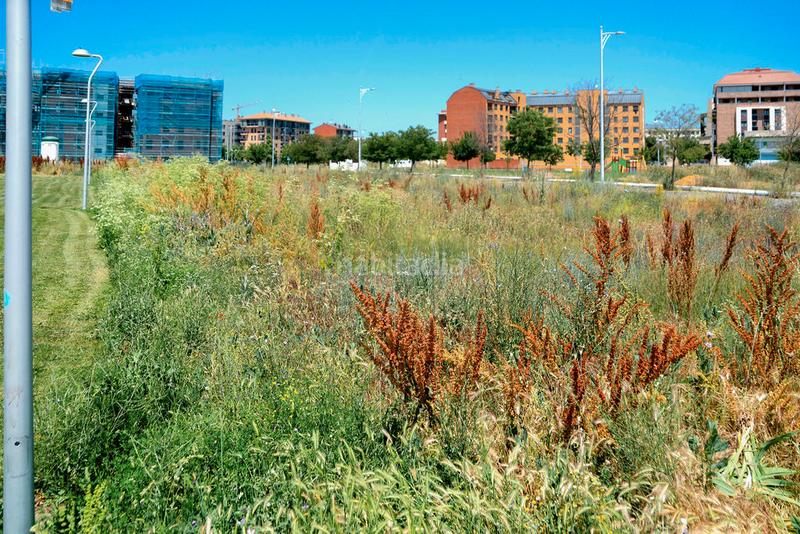 Foto 02f454c4-15a9-4eee-aada-f3215a10198e. Landgut in La Lastra León Foto 02f454c4-15a9-4eee-aada-f3215a10198e. Landgut in La Lastra León