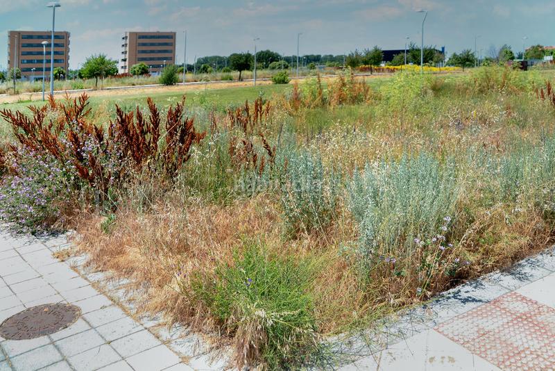 Foto 2dc24b87-0d64-4b6b-8c0a-b92d59c0011c. Landgut in La Lastra León Foto 2dc24b87-0d64-4b6b-8c0a-b92d59c0011c. Landgut in La Lastra León