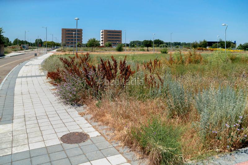 Foto 5f9f8185-c852-48d0-b7c2-ab0ff0be73b7. Landgut in La Lastra León Foto 5f9f8185-c852-48d0-b7c2-ab0ff0be73b7. Landgut in La Lastra León