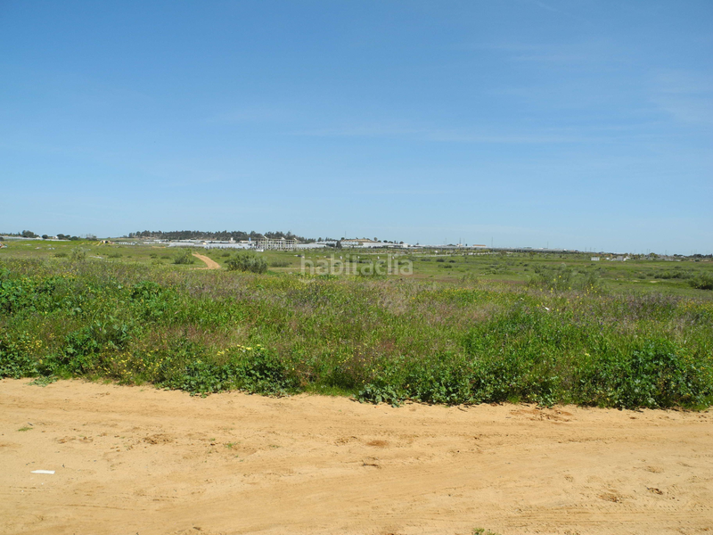 Foto 03aac564-095f-4443-8887-625bbbf4f6d1. Landgut in Lepe Foto 03aac564-095f-4443-8887-625bbbf4f6d1. Landgut in Lepe